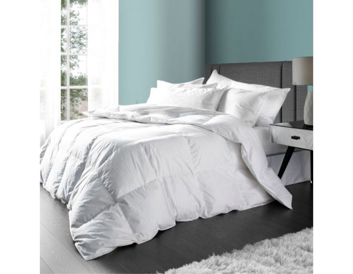 Feather comforters store