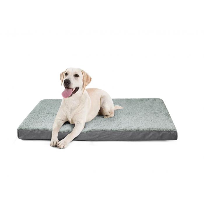 Extra thick dog bed on sale