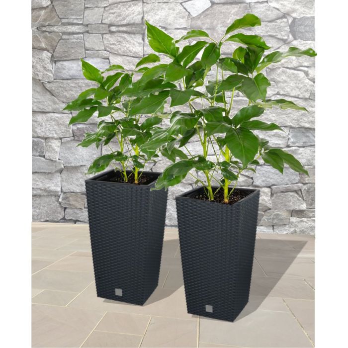 stylish rattan effect planters - 3 sizes and 4 colours available 