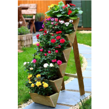 6 Tier Fruit and Flower Planter